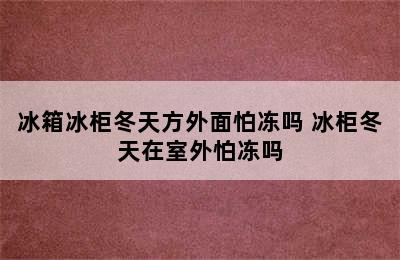 冰箱冰柜冬天方外面怕冻吗 冰柜冬天在室外怕冻吗